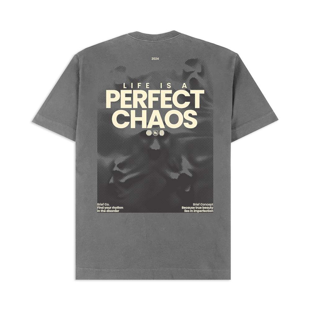 CAMISETA OVERSIZED  "PERFECT CHAOS"