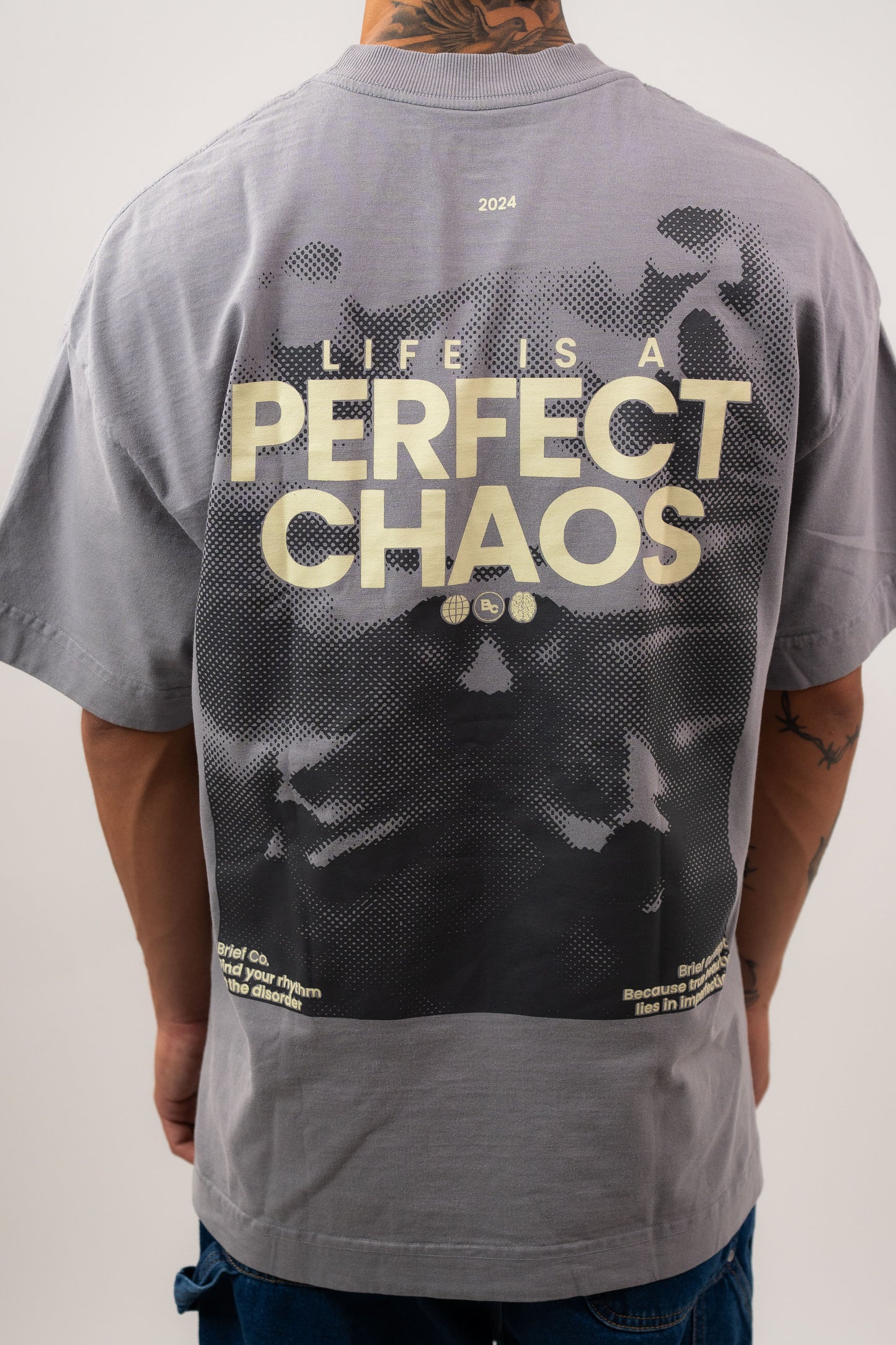 CAMISETA OVERSIZED  "PERFECT CHAOS"